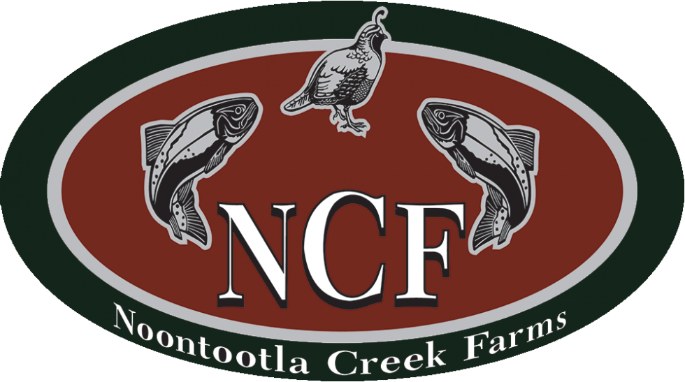 Blue Ridge Clays Course Noontootla Creek Farms | Sporting Clays Course In Blue Ridge, GA