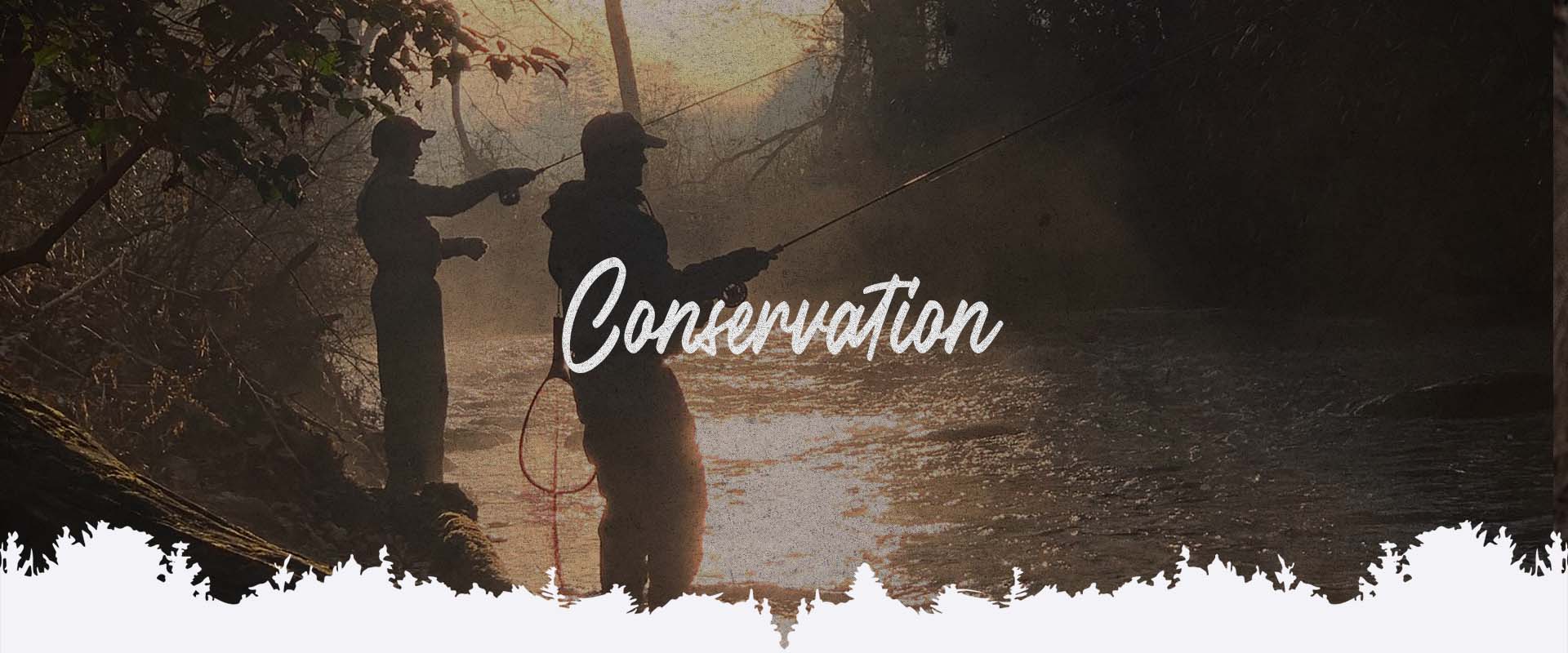conservation